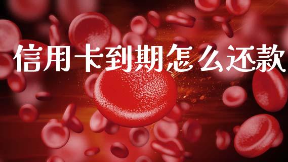 信用卡到期怎么还款_https://m.apzhendong.com_财务分析_第1张