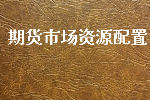 期货市场资源配置_https://m.apzhendong.com_财务分析_第1张