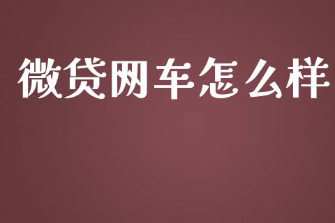 微贷网车怎么样_https://m.apzhendong.com_全球经济_第1张