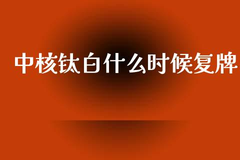 中核钛白什么时候复牌_https://m.apzhendong.com_期货行情_第1张