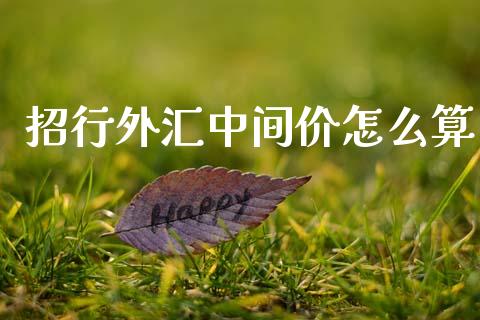 招行外汇中间价怎么算_https://m.apzhendong.com_财务分析_第1张