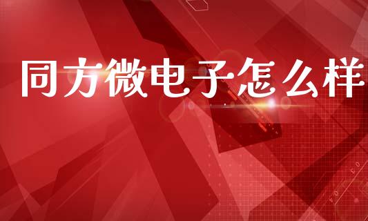 同方微电子怎么样_https://m.apzhendong.com_全球经济_第1张