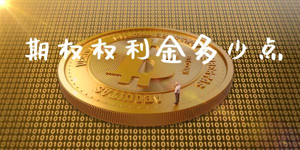期权权利金多少点_https://m.apzhendong.com_财经资讯_第1张