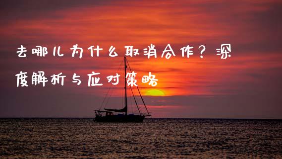 去哪儿为什么取消合作？深度解析与应对策略_https://m.apzhendong.com_财务分析_第1张