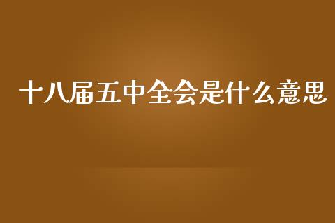 十八届五中全会是什么意思_https://m.apzhendong.com_全球经济_第1张