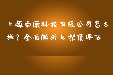 上海南康科技有限公司怎么样？全面解析与深度评估_https://m.apzhendong.com_财经资讯_第1张