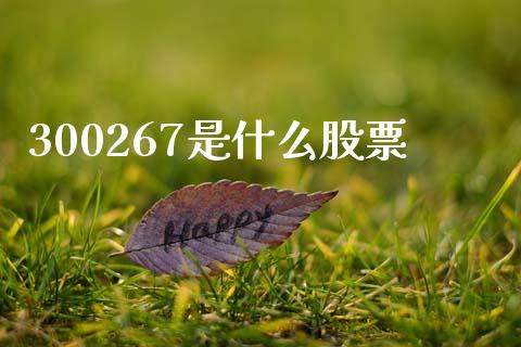 300267是什么股票_https://m.apzhendong.com_财经资讯_第1张