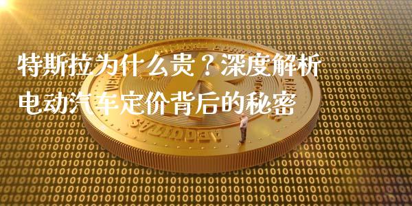 特斯拉为什么贵？深度解析电动汽车定价背后的秘密_https://m.apzhendong.com_财经资讯_第1张