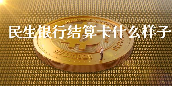 民生银行结算卡什么样子_https://m.apzhendong.com_财务分析_第1张