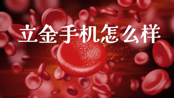 立金手机怎么样_https://m.apzhendong.com_财务分析_第1张