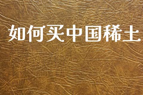 如何买中国稀土_https://m.apzhendong.com_财经资讯_第1张