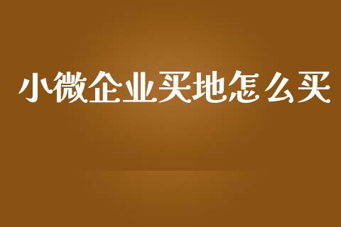 小微企业买地怎么买_https://m.apzhendong.com_全球经济_第1张