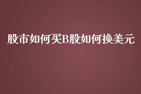 股市如何买B股如何换美元_https://m.apzhendong.com_财务分析_第1张