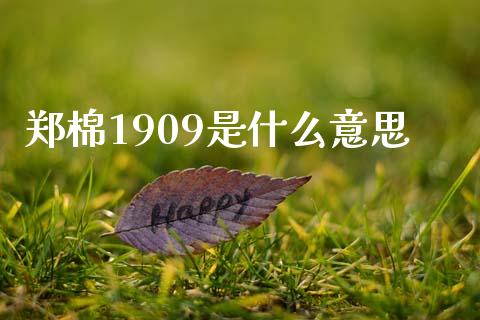 郑棉1909是什么意思_https://m.apzhendong.com_财经资讯_第1张