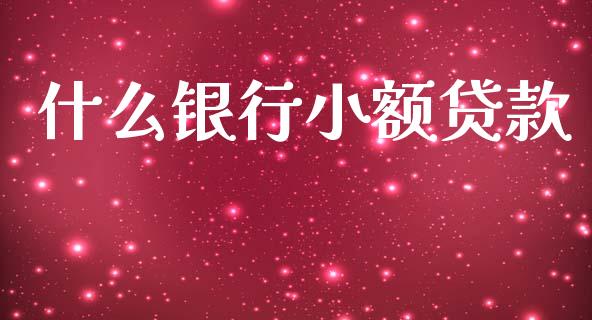 什么银行小额贷款_https://m.apzhendong.com_财经资讯_第1张