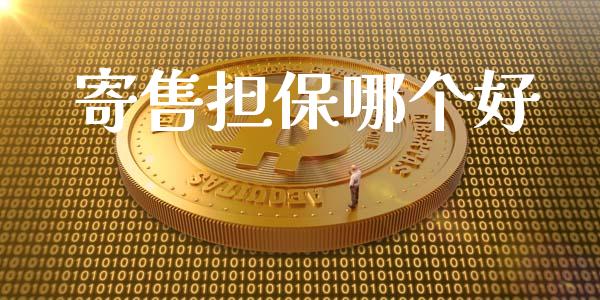 寄售担保哪个好_https://m.apzhendong.com_财经资讯_第1张