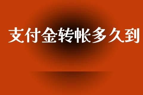 支付金转帐多久到_https://m.apzhendong.com_财务分析_第1张