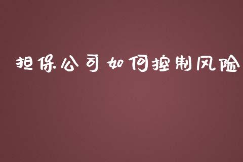 担保公司如何控制风险_https://m.apzhendong.com_期货行情_第1张