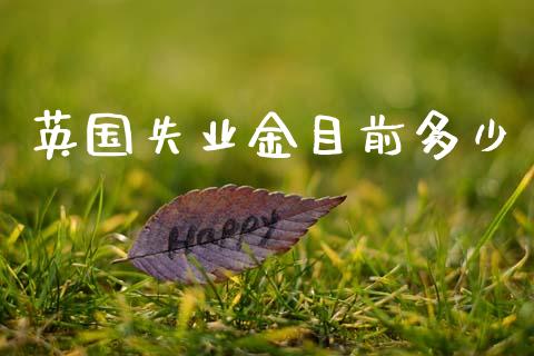 英国失业金目前多少_https://m.apzhendong.com_期货行情_第1张
