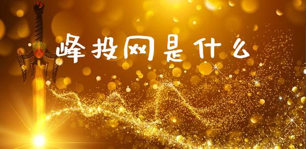峰投网是什么_https://m.apzhendong.com_财务分析_第1张