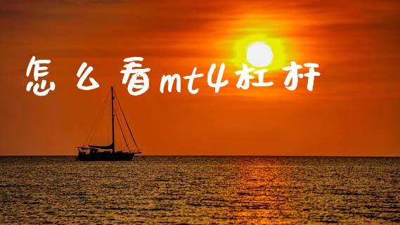 怎么看mt4杠杆_https://m.apzhendong.com_财经资讯_第1张