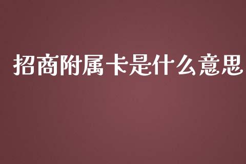 招商附属卡是什么意思_https://m.apzhendong.com_财务分析_第1张