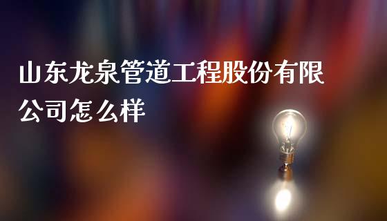 山东龙泉管道工程股份有限公司怎么样_https://m.apzhendong.com_财经资讯_第1张