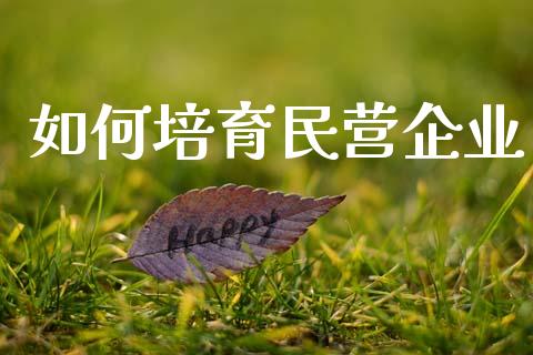 如何培育民营企业_https://m.apzhendong.com_财务分析_第1张