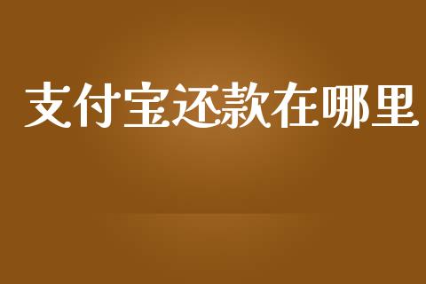 支付宝还款在哪里_https://m.apzhendong.com_财经资讯_第1张