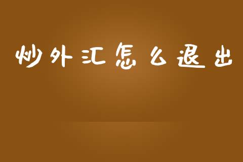 炒外汇怎么退出_https://m.apzhendong.com_期货行情_第1张