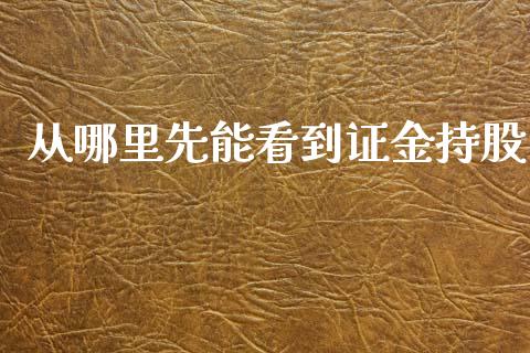 从哪里先能看到证金持股_https://m.apzhendong.com_期货行情_第1张