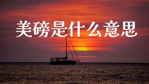 美磅是什么意思_https://m.apzhendong.com_全球经济_第1张