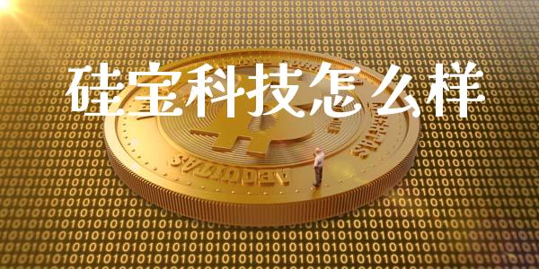 硅宝科技怎么样_https://m.apzhendong.com_全球经济_第1张