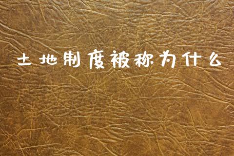 土地制度被称为什么_https://m.apzhendong.com_期货行情_第1张