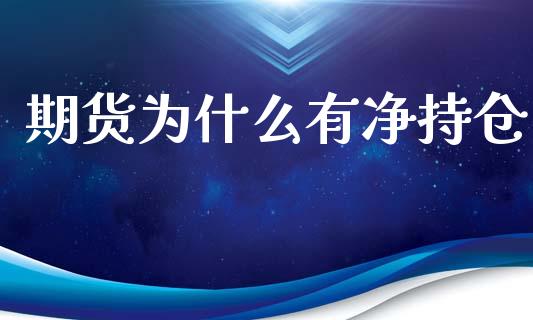 期货为什么有净持仓_https://m.apzhendong.com_期货行情_第1张