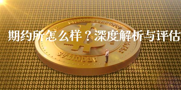期约所怎么样？深度解析与评估_https://m.apzhendong.com_期货行情_第1张