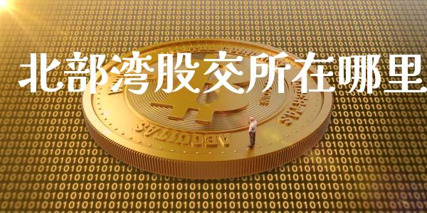 北部湾股交所在哪里_https://m.apzhendong.com_财务分析_第1张