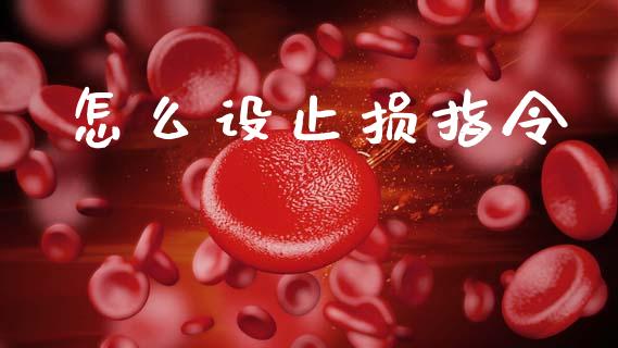 怎么设止损指令_https://m.apzhendong.com_全球经济_第1张