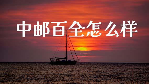 中邮百全怎么样_https://m.apzhendong.com_财务分析_第1张