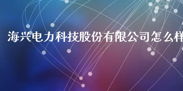 海兴电力科技股份有限公司怎么样_https://m.apzhendong.com_财经资讯_第1张