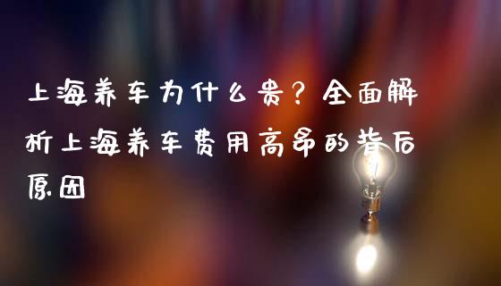 上海养车为什么贵？全面解析上海养车费用高昂的背后原因_https://m.apzhendong.com_全球经济_第1张