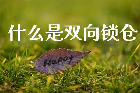 什么是双向锁仓_https://m.apzhendong.com_财务分析_第1张