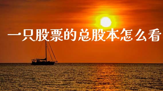 一只股票的总股本怎么看_https://m.apzhendong.com_财务分析_第1张
