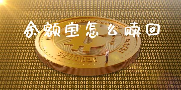 余额宝怎么赎回_https://m.apzhendong.com_财务分析_第1张