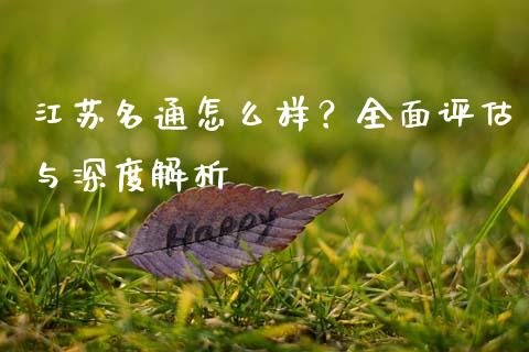 江苏名通怎么样？全面评估与深度解析_https://m.apzhendong.com_财经资讯_第1张