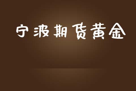 宁波期货黄金_https://m.apzhendong.com_财务分析_第1张