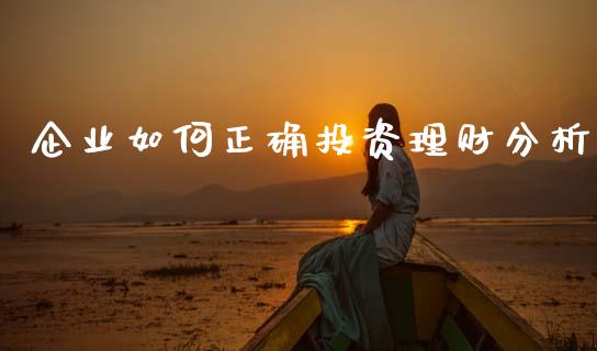 企业如何正确投资理财分析_https://m.apzhendong.com_财务分析_第1张