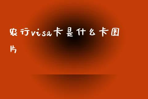 农行visa卡是什么卡图片_https://m.apzhendong.com_财经资讯_第1张