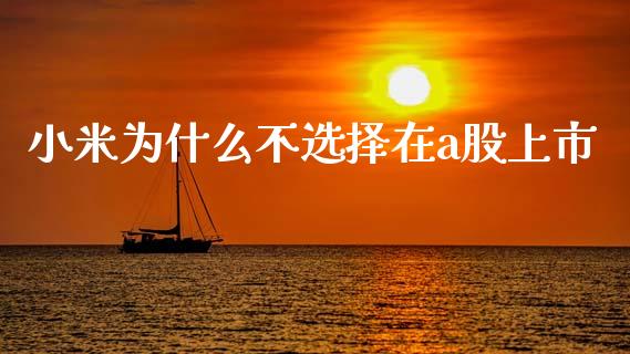 小米为什么不选择在a股上市_https://m.apzhendong.com_全球经济_第1张