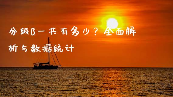 分级B一共有多少？全面解析与数据统计_https://m.apzhendong.com_全球经济_第1张